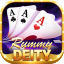 rummy mpl icon