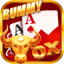 rummy sultan icon