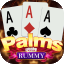 rummy heist icon