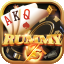 msm bet rummy icon